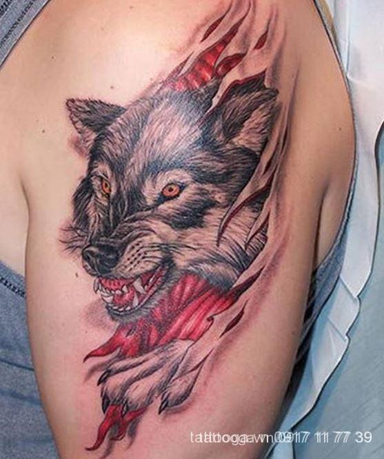 Bật Mí Ý Nghĩa Hình Xăm Chó Sói - Tattoo Gà