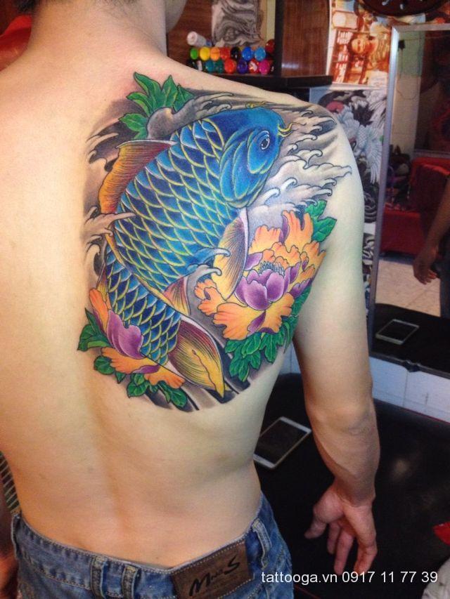 56 ý tưởng hay nhất về Tattoo Cá Chép  cá chép hình xăm hình xăm nhật