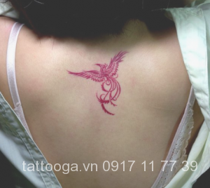 Tattoo Gà thể hiện sự can đảm, nghị lực và sự kiên trì. Với hình ảnh gà cựa đỏ, hình xăm này đem đến sự quyết liệt và rực rỡ cho chủ nhân của nó. Hãy xem ảnh để hiểu rõ hơn về những ý nghĩa của Tattoo Gà.