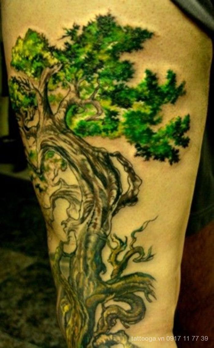 Biểu tượng của sức mạnh và tài lộc được thể hiện qua tatoo cây ...