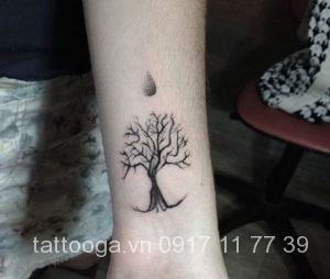 Tatoo cây